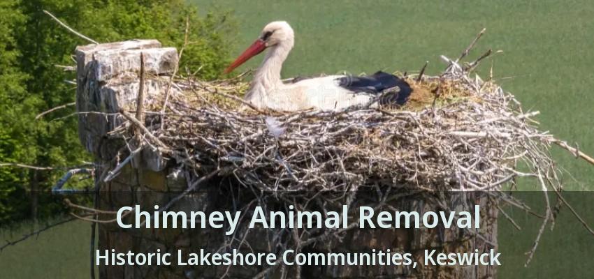 Chimney Animal Removal Historic Lakeshore Communities, Keswick - ON