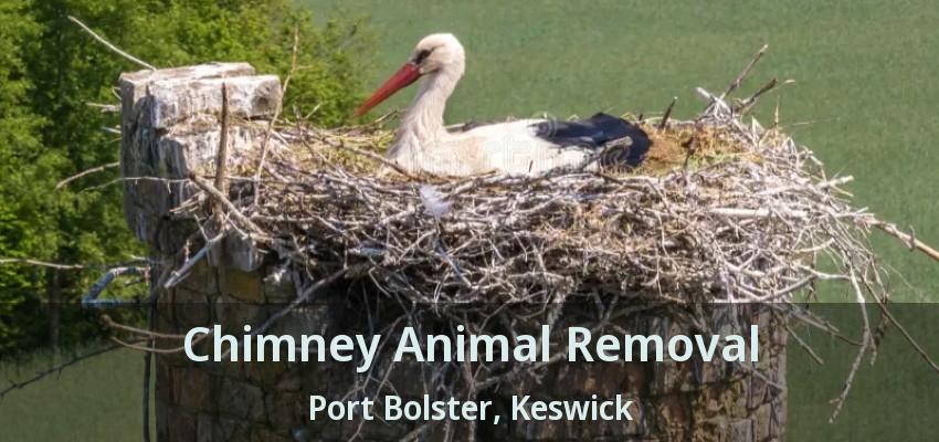 Chimney Animal Removal Port Bolster, Keswick - ON