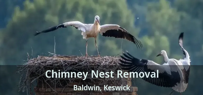 Chimney Nest Removal Baldwin, Keswick - ON