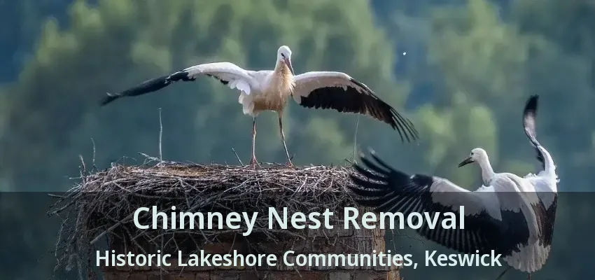 Chimney Nest Removal Historic Lakeshore Communities, Keswick - ON