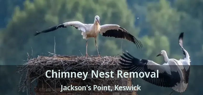 Chimney Nest Removal Jackson's Point, Keswick - ON