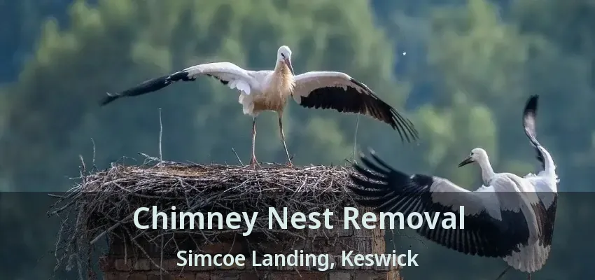 Chimney Nest Removal Simcoe Landing, Keswick - ON