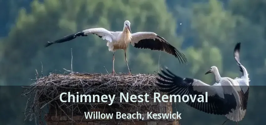 Chimney Nest Removal Willow Beach, Keswick - ON