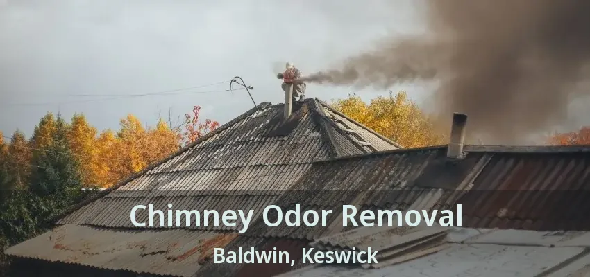 Chimney Odor Removal Baldwin, Keswick - ON
