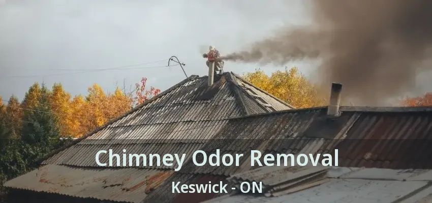 Chimney Odor Removal Keswick - ON