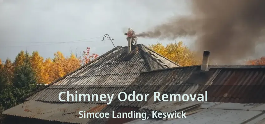Chimney Odor Removal Simcoe Landing, Keswick - ON