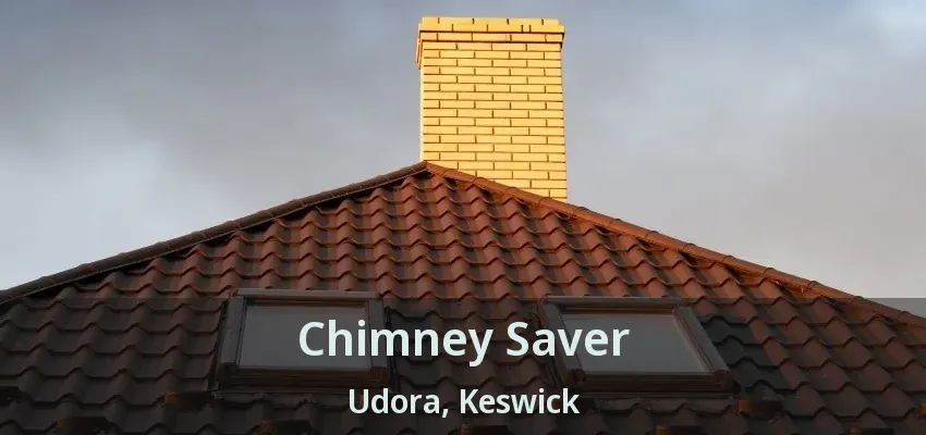 Chimney Saver Udora, Keswick - ON