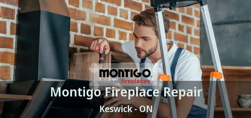 Montigo Fireplace Repair Keswick - ON