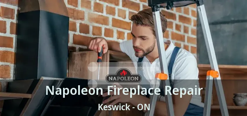 Napoleon Fireplace Repair Keswick - ON