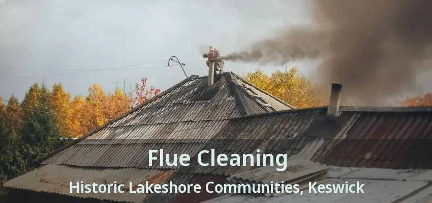 Flue Cleaning Historic Lakeshore Communities, Keswick - ON