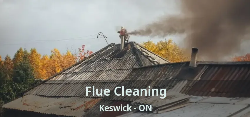Flue Cleaning Keswick - ON
