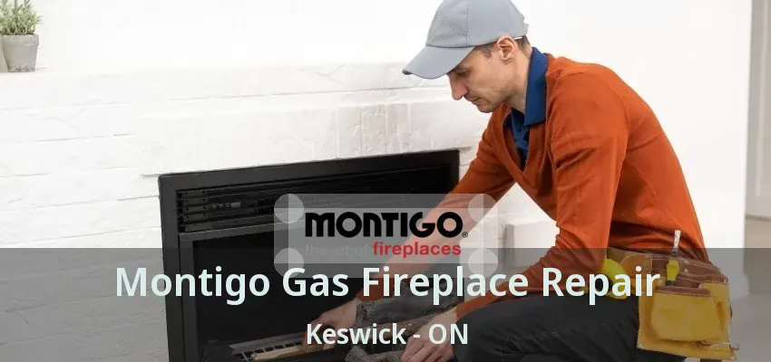 Montigo Gas Fireplace Repair Keswick - ON