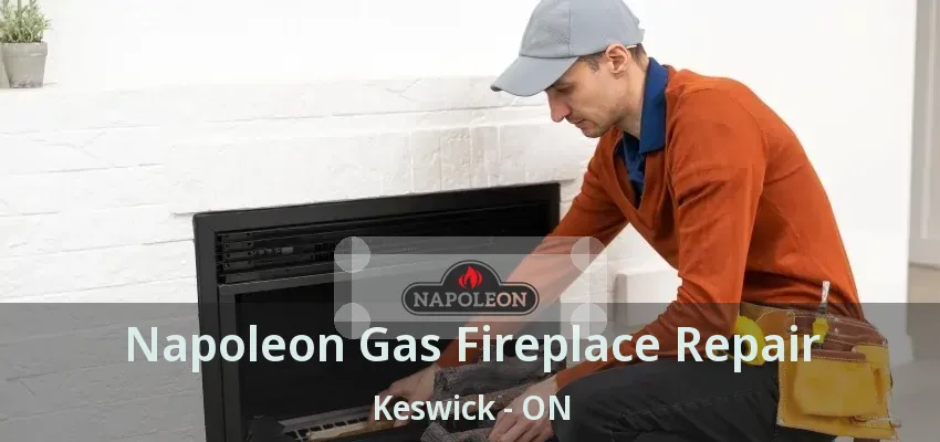Napoleon Gas Fireplace Repair Keswick - ON