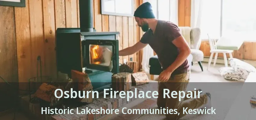 Osburn Fireplace Repair Historic Lakeshore Communities, Keswick - ON