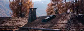 Chimney Animal Removal Baldwin, Keswick